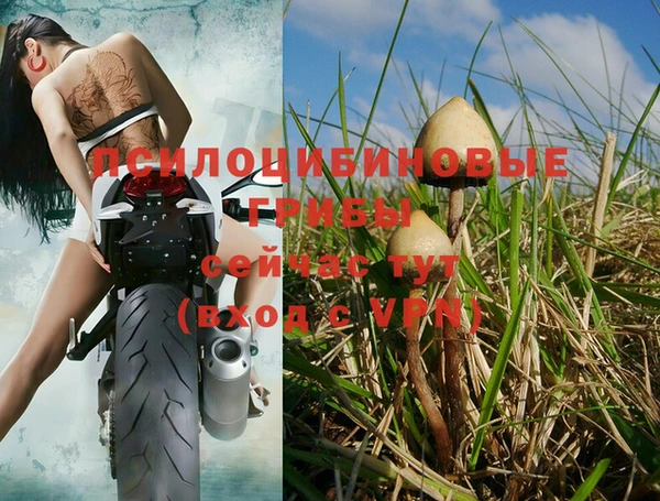 экстази Лихославль