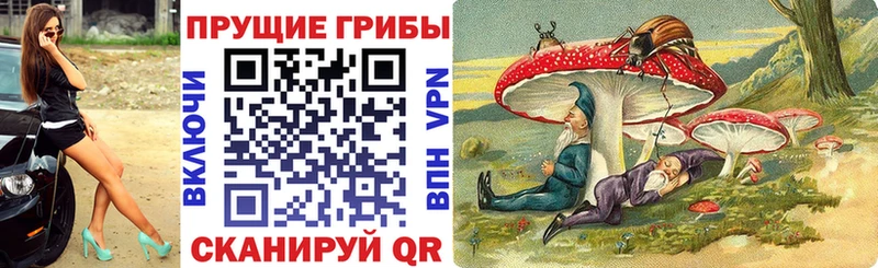 Псилоцибиновые грибы MAGIC MUSHROOMS  наркошоп  Новая Усмань 